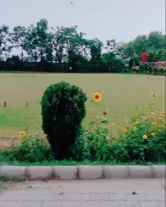 @AKSHAY KHILADI