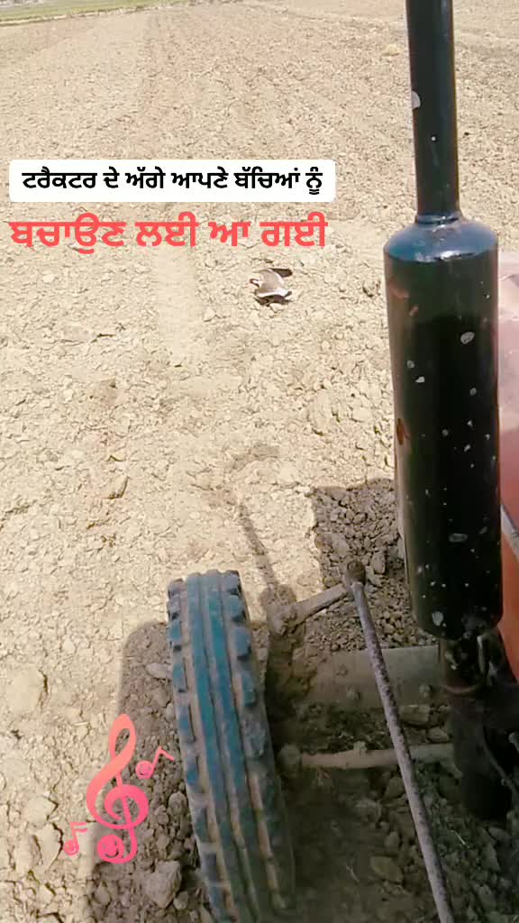 @Joginder104