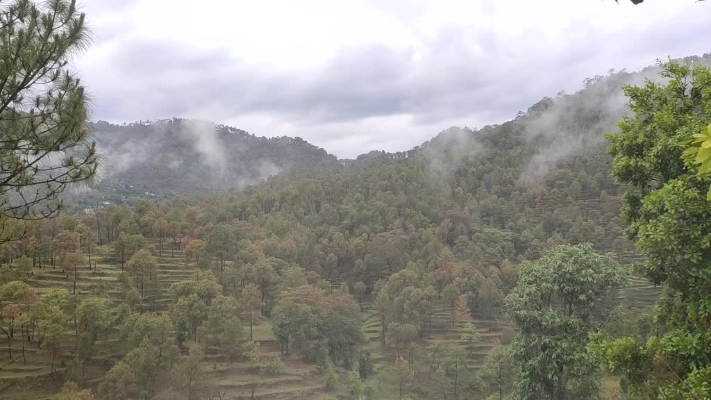 @Manish Joshi पहाड़ी