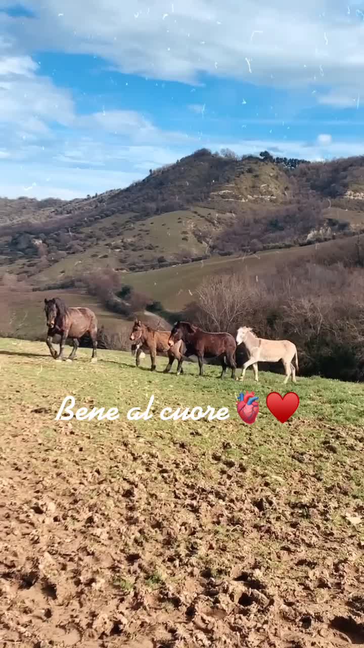 @Noemi Verdecchia