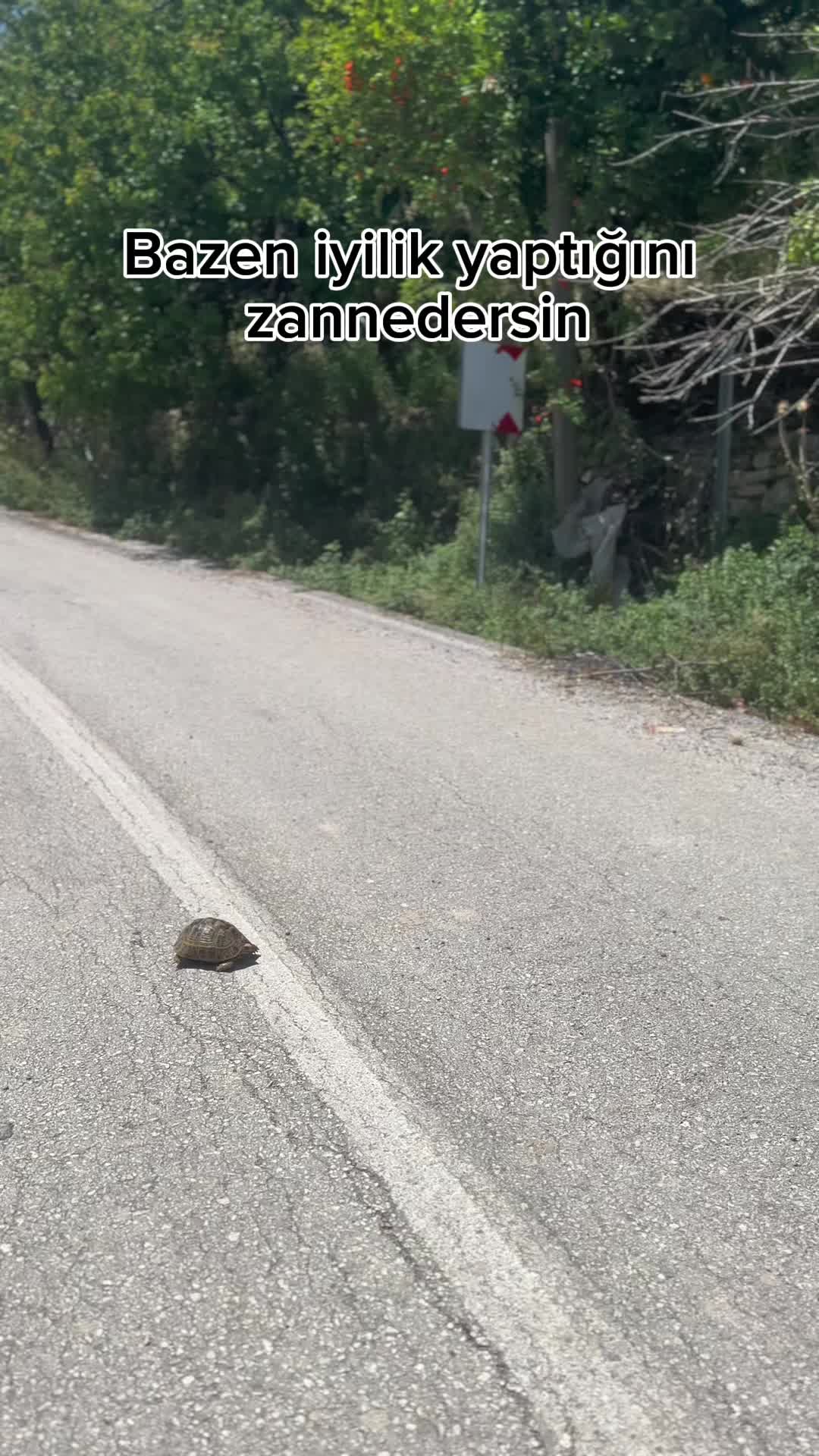 @Nalan.dad&uuml;k.