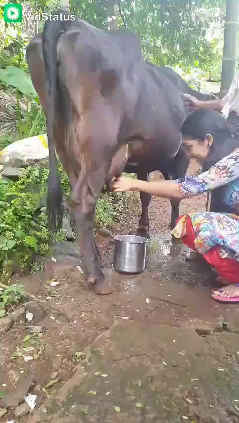 @shaitya santhosh