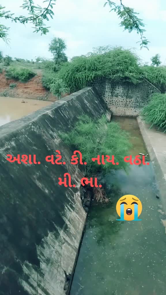 @સુરેશ. સૉઢા