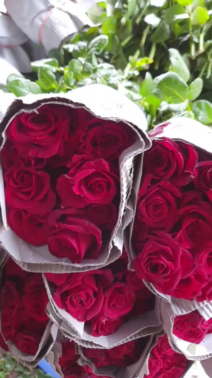 @Rashid Sayyed