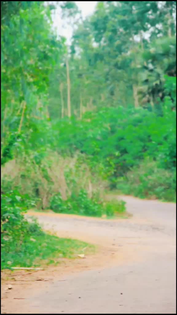 @🎸sai prince vizeg🎸