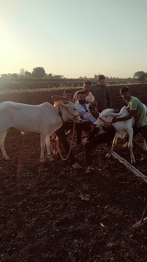 @chetanयुवा शेतकरी