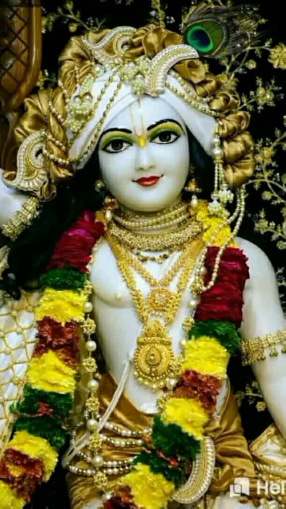@kamni pruthi