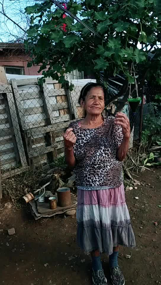 @Mamá Lola
