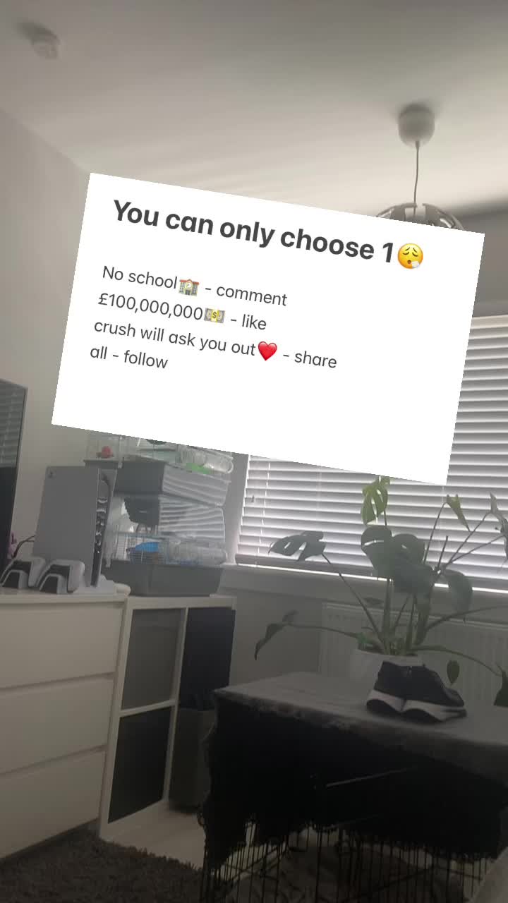 @eodzi
