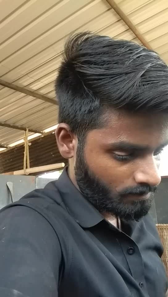 @Beard Dragon Rebel