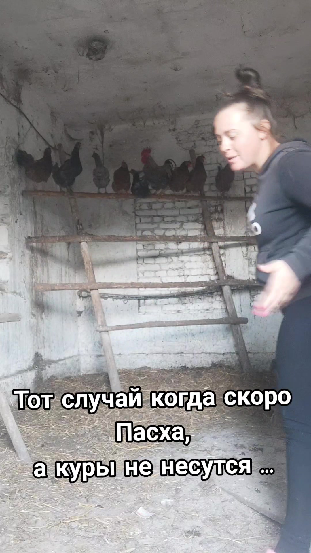 @Герасименчик