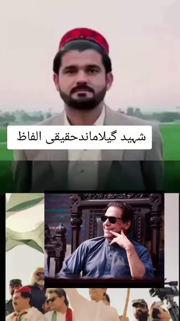 @Pti Tigers
