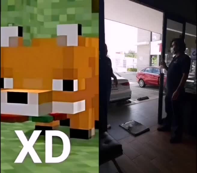 @Zorrito xd 🦊