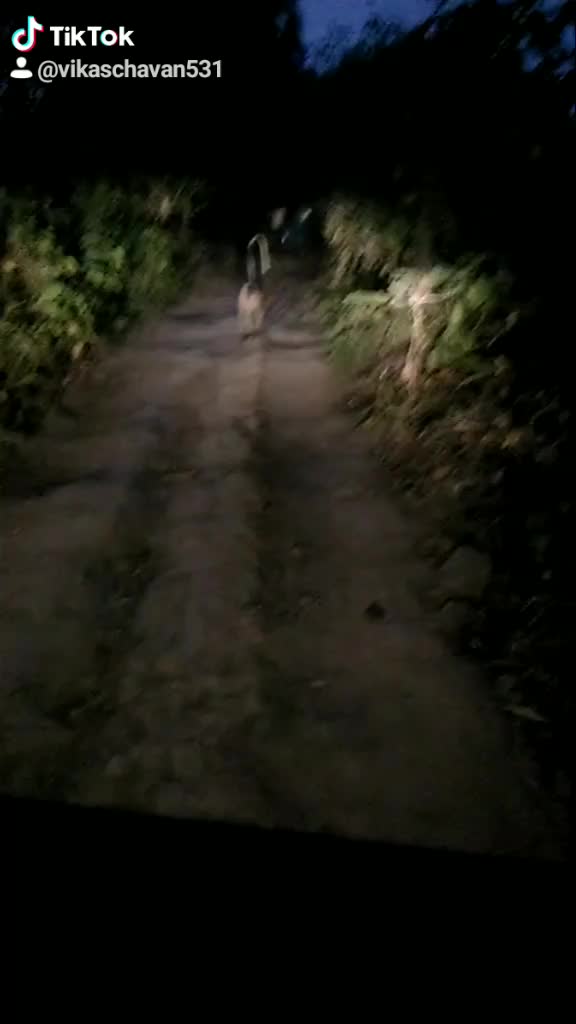 @vikaschavan531