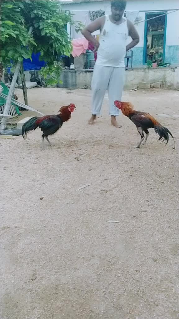 @yallu duniya