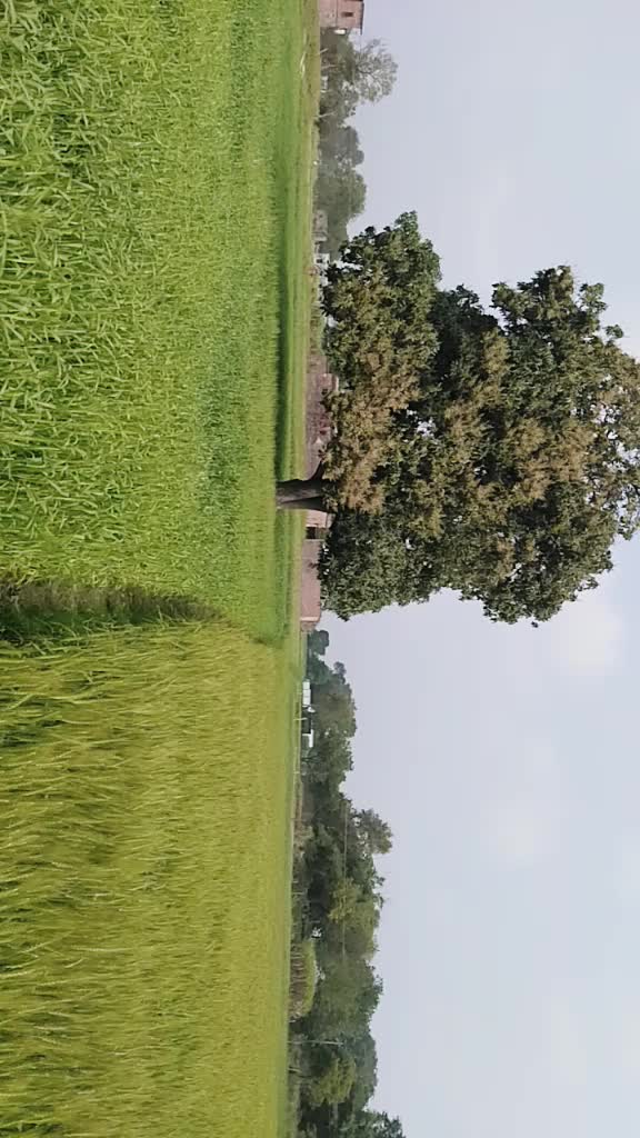 @Shubham Yadav