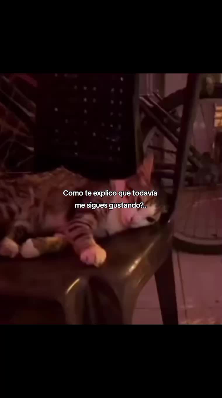 @єѕтєв&alpha;&eta;  👾