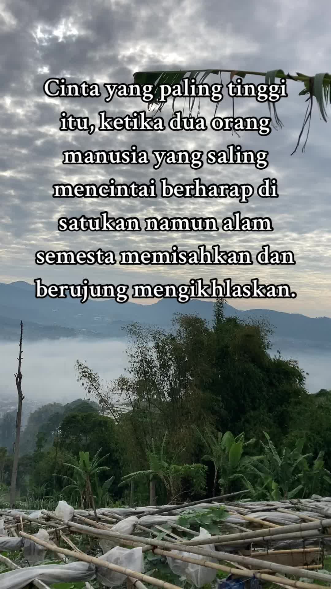 @Pena Bijak