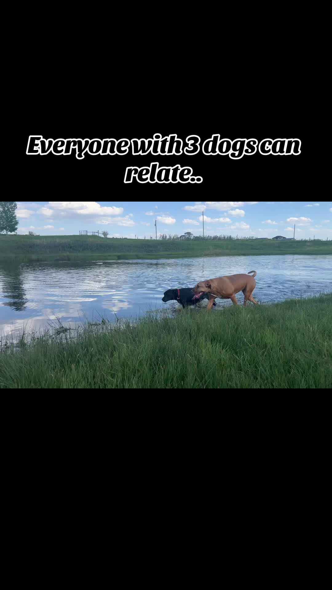 @kW