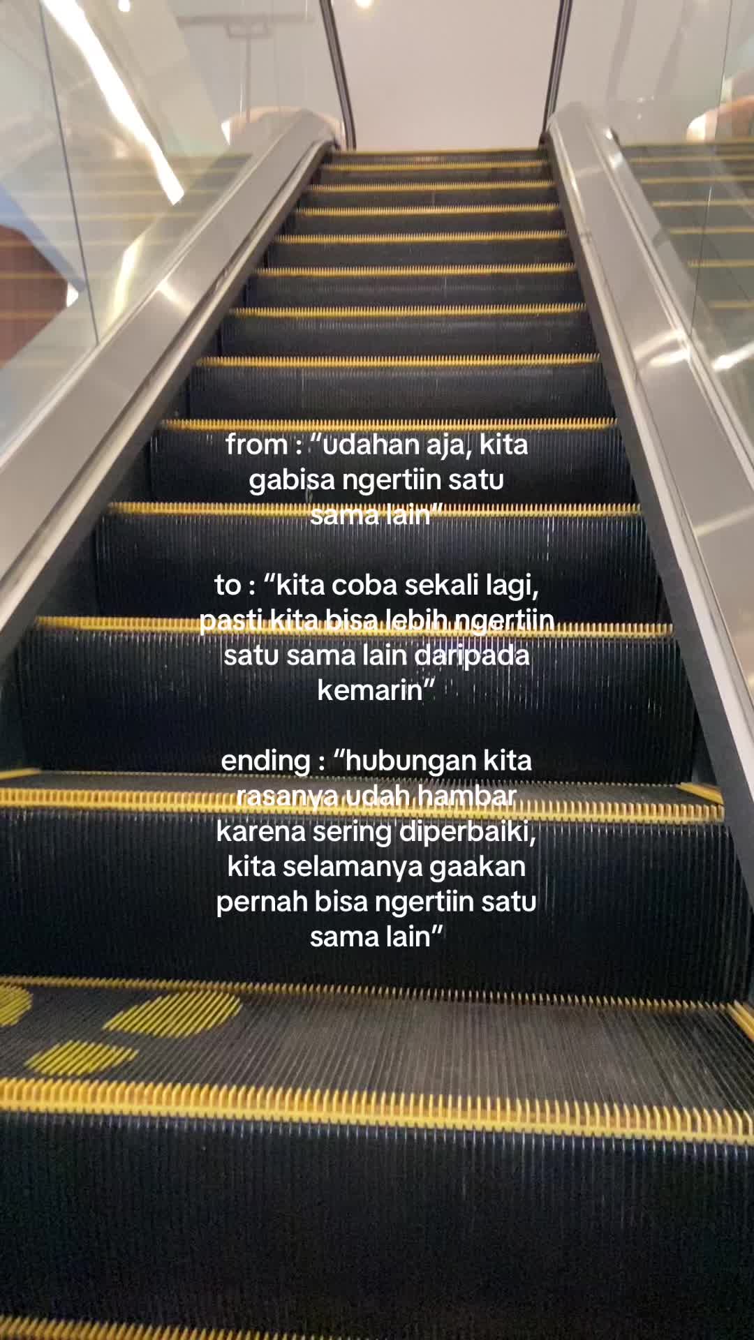 @ikaa 🐾