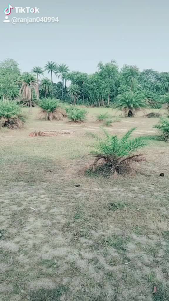 @Ranjan keshri