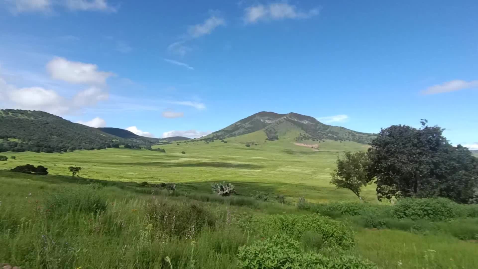 @Pensamientos De Un Tolteca