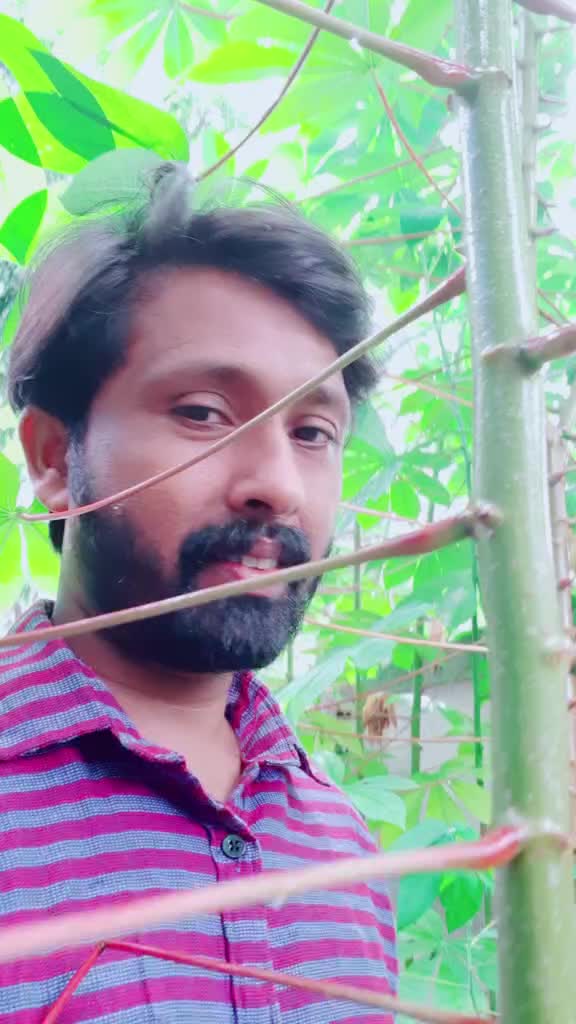@Bipin KDR