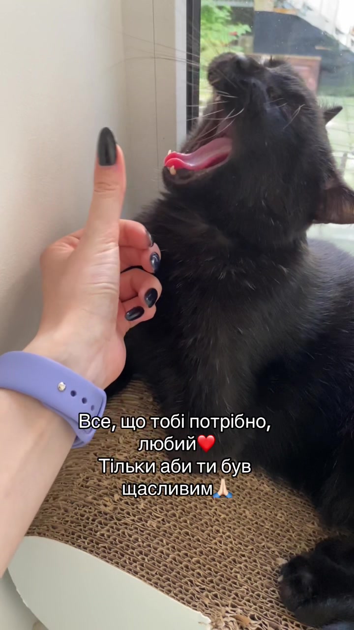 @Корнелія Удовенко