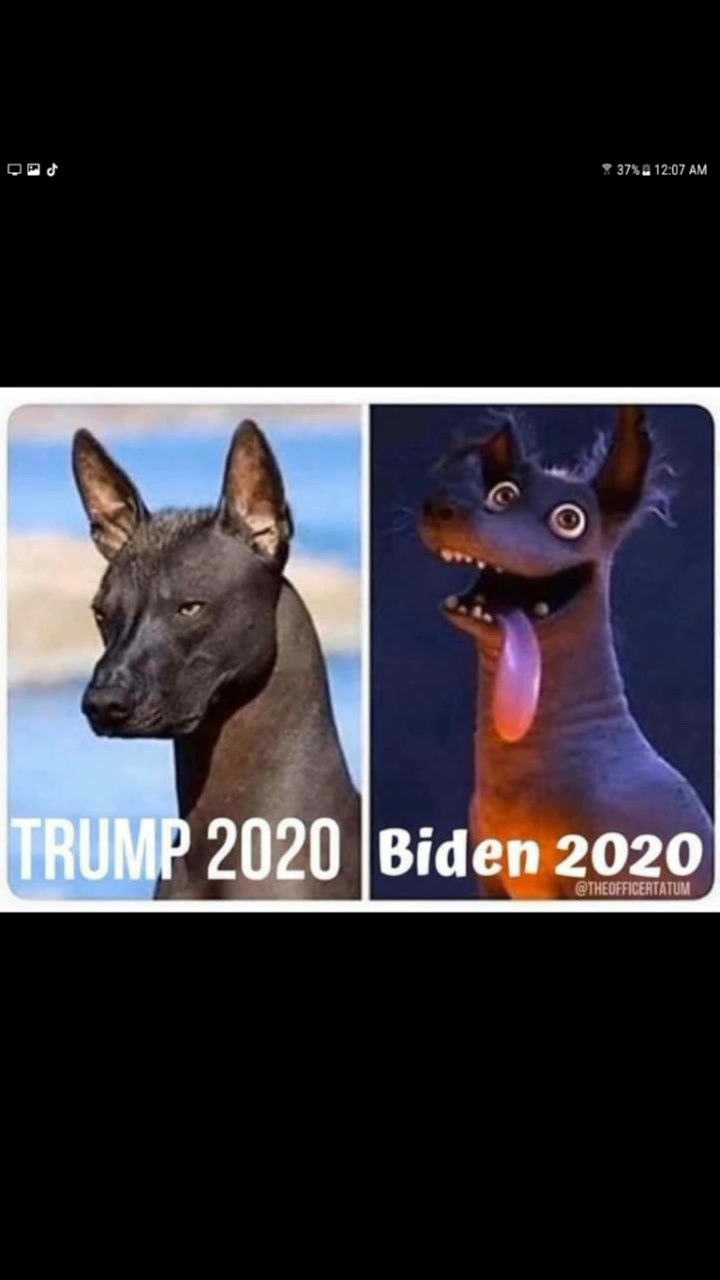 @Trump2Q2Q