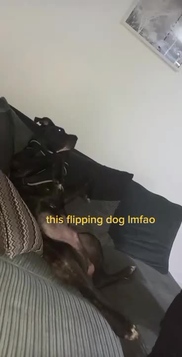 @Baby Duke