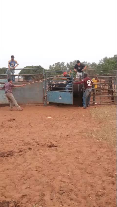 @miranda