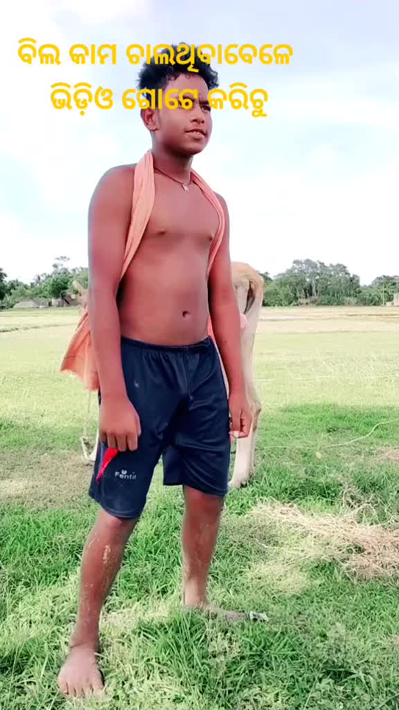 @Amareswar Das