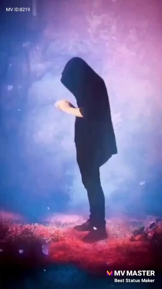 @user741939