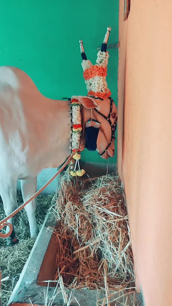 @ಭೋಮ್ಮ ಲಿಂಗೇಶ್ವರ ಬಸಪ