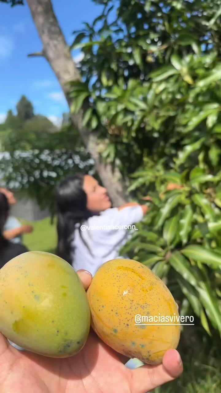 @Valentina Cerón