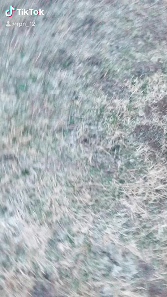 @rpn_12