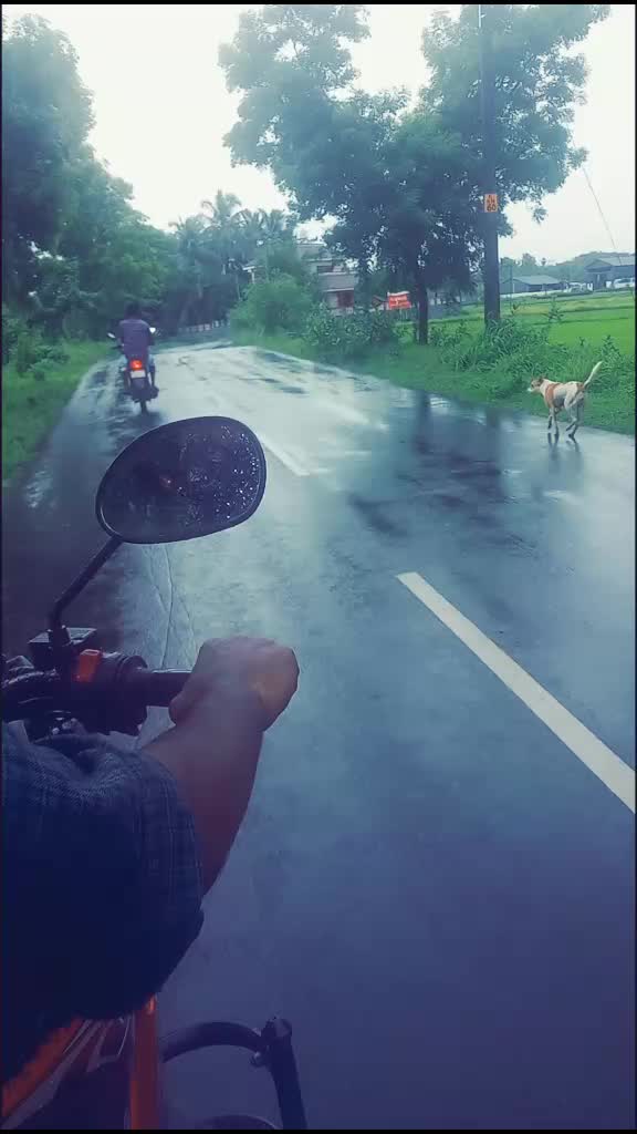 @Vijayan Aru
