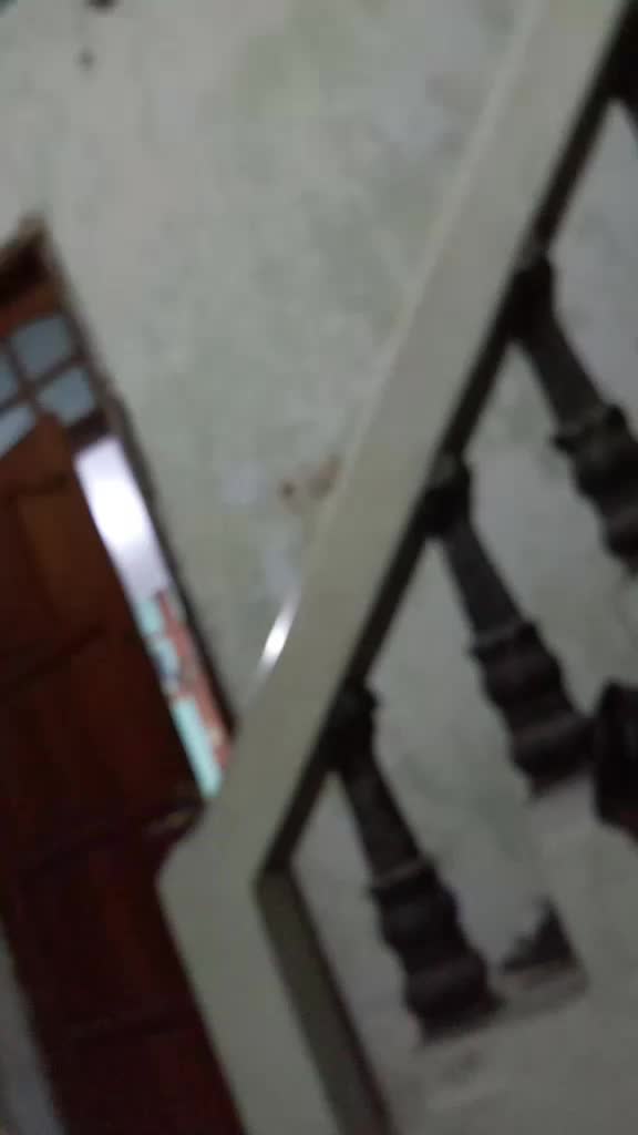 @Nauf277