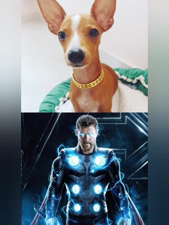 @Thor Dias Reis