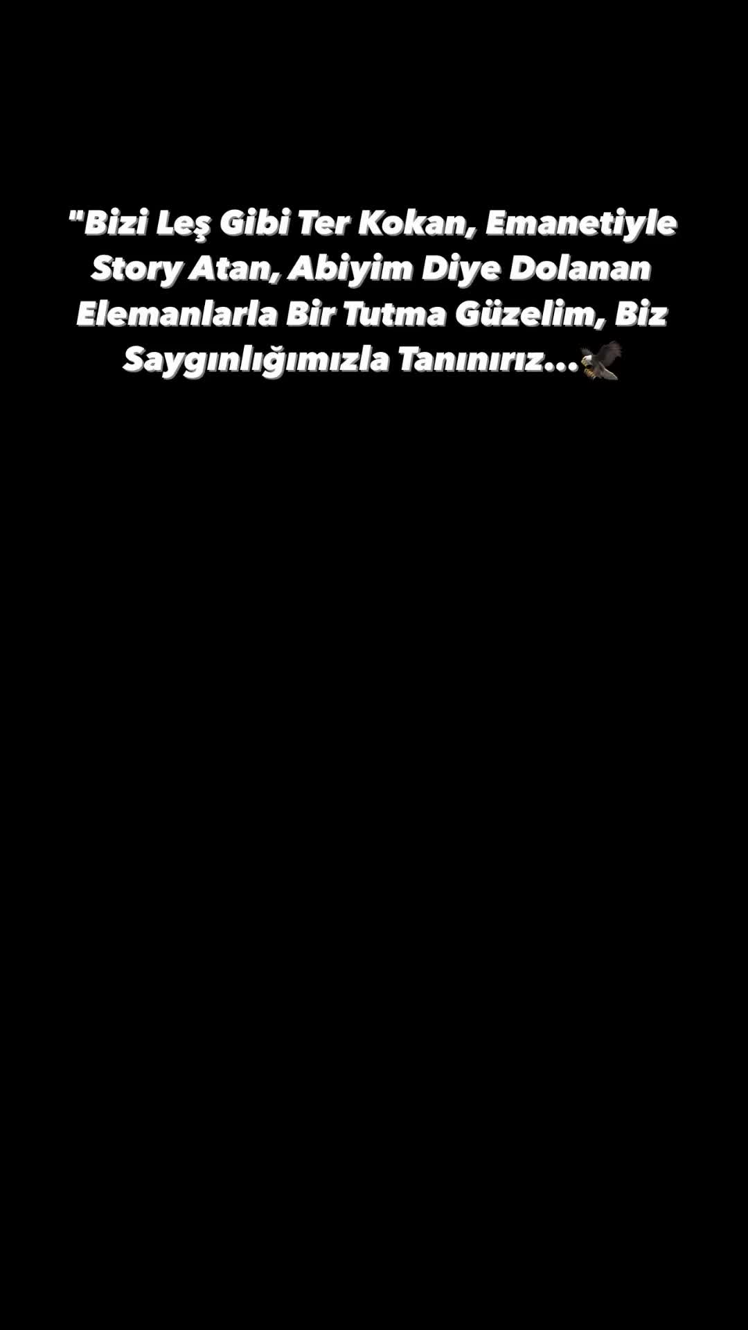 @illegalstory1🦅