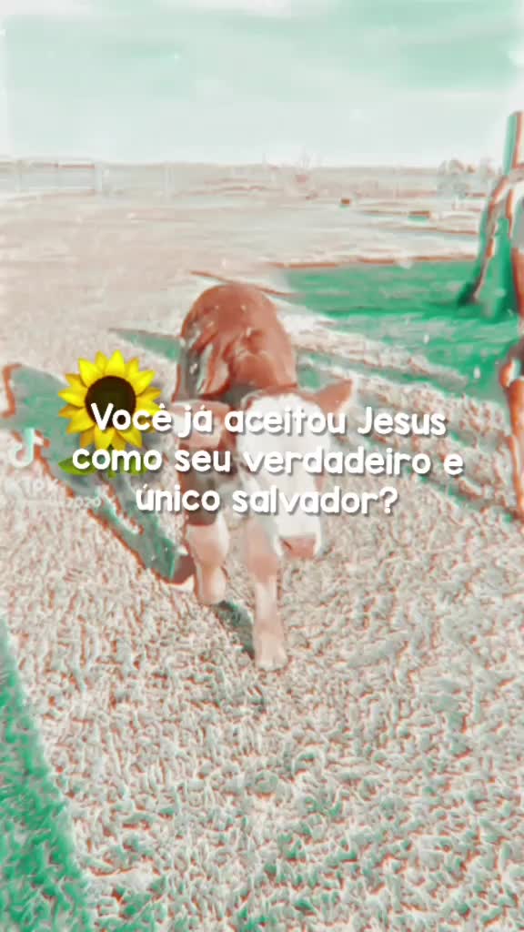 @↳𝗦𝘂 ◡̈┊⁀➷10.7k🌷!