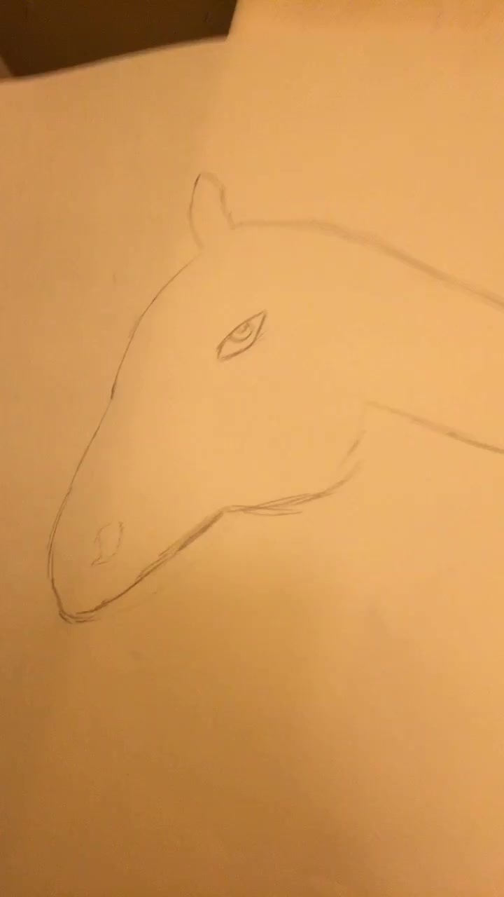@Kaytlynn Sargent