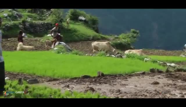 @Abhishek Kumar