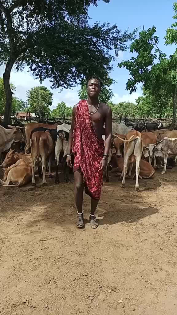 @Kili Maasai