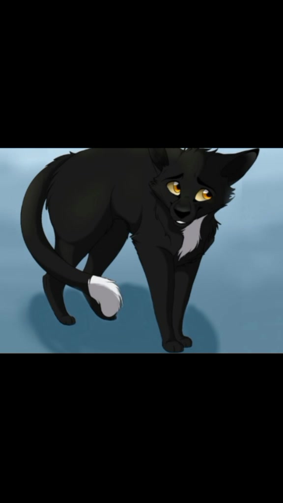 @Warrior Cats