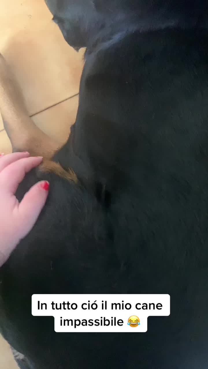 @Saraaa