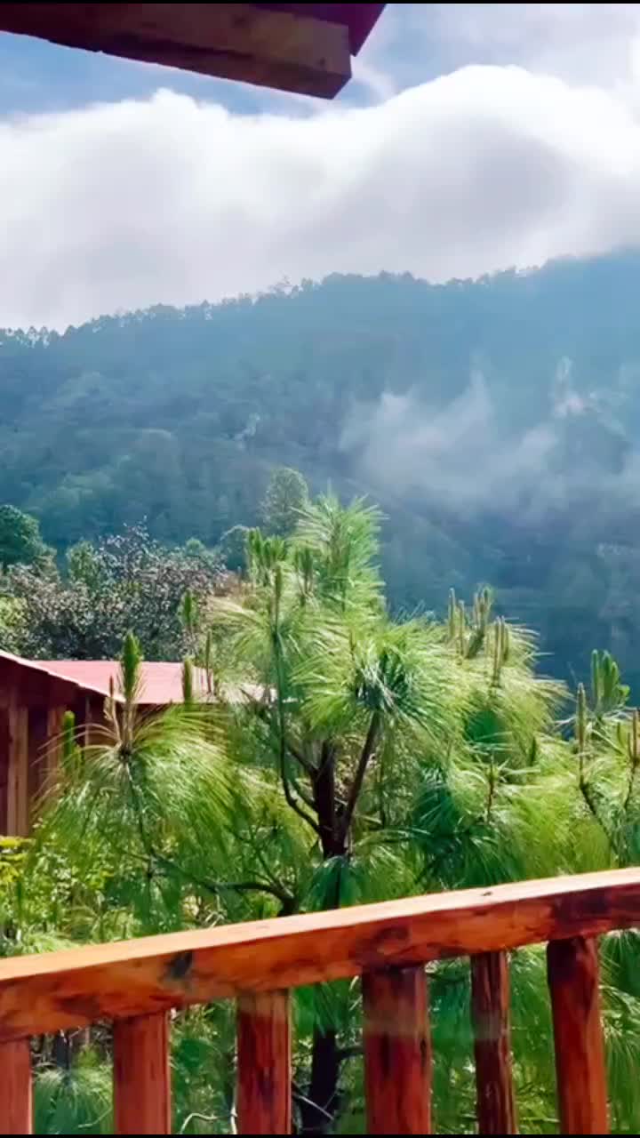 @Gabibv
