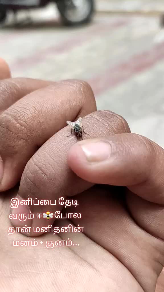 @@&reg;@&radic;|ND