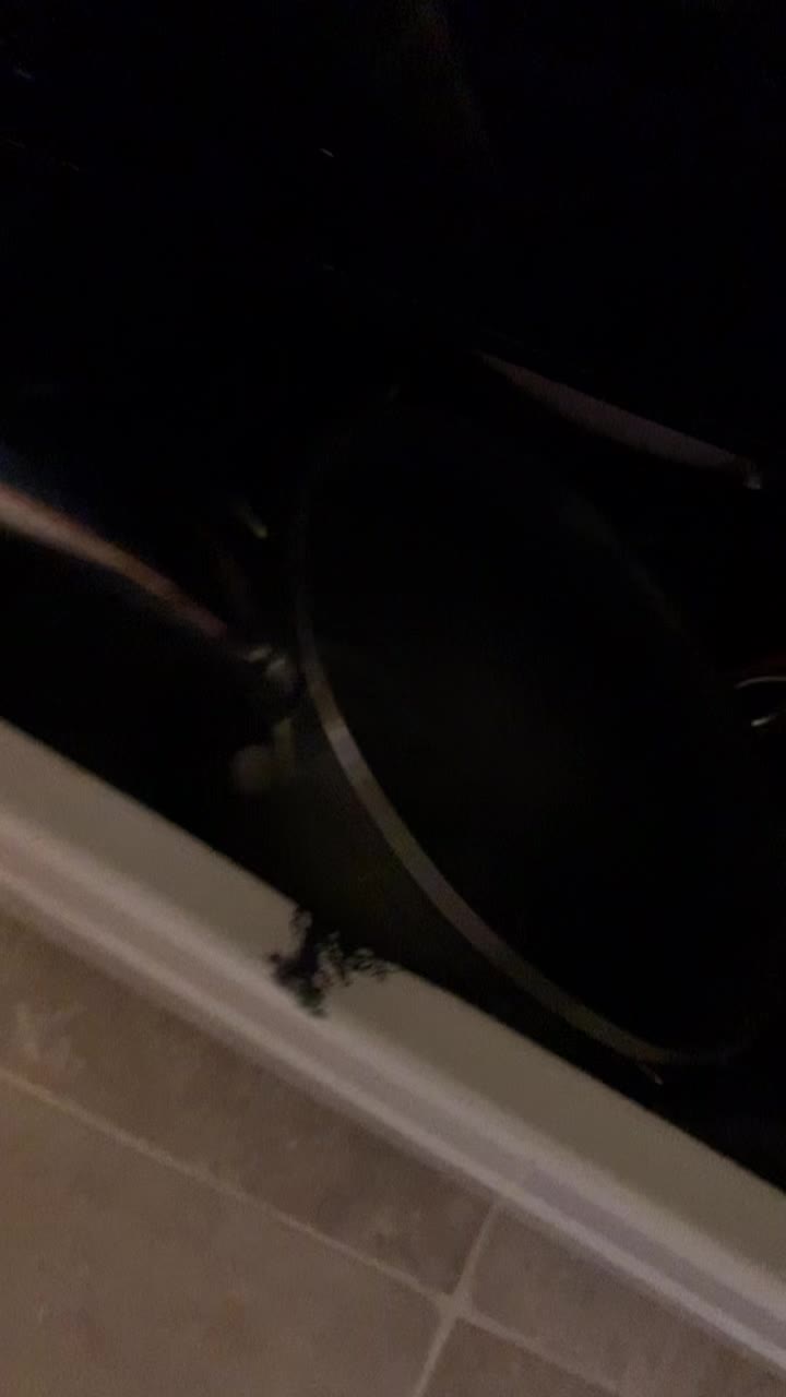@averagecooking