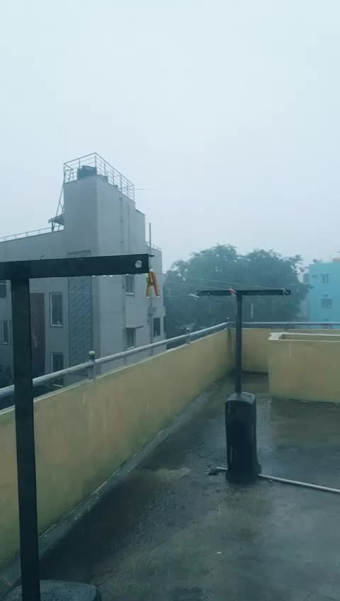 @nivedithagowda